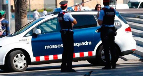 mossos 