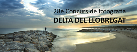 Banner 28 Concurs Delta