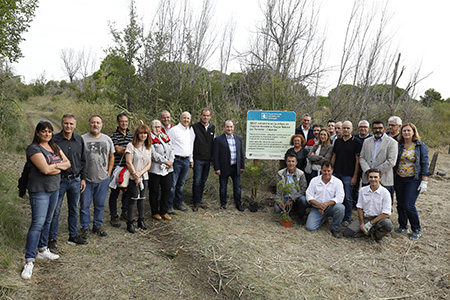 SEAT employees plant 414 trees in the Llobregat Delta 03 HQ