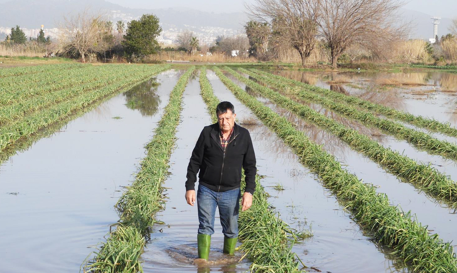 josep panella el president de la cooperativa agropecuaria de gava relata lexperiencia de l