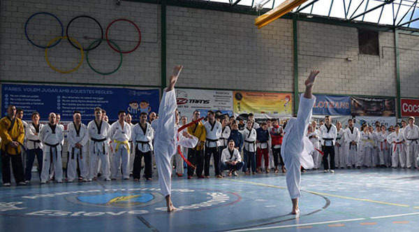 El millor taekwondo s’aplega a Sant Esteve Sesrovires
