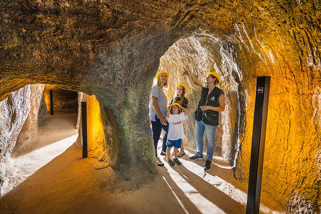El Parc Arqueològic Mines de Gavà, entre les distingides