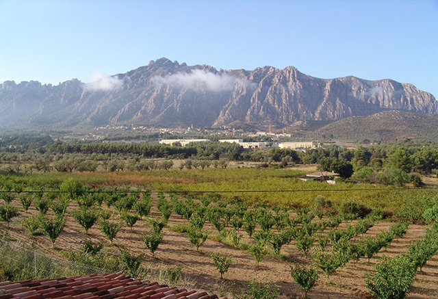 El Parc Rural del Montserrat és un projecte creat per desenvolupar l'activitat agroalimentària dels municipis que envolten la muntanya de Montserrat