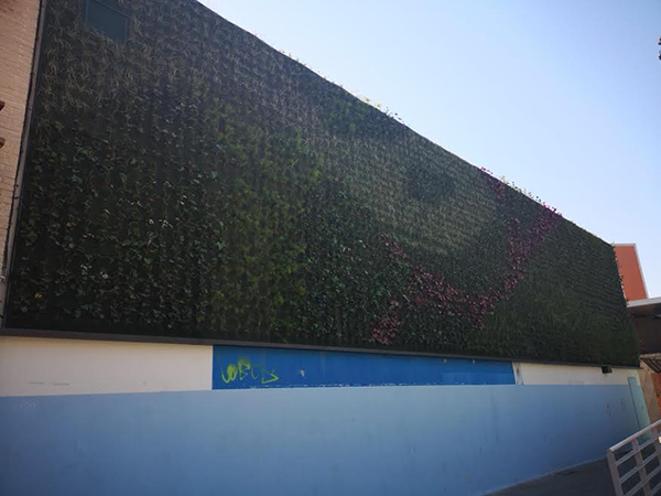 Jardí vertical a la façana del Centre Cívic Sant Indefons 