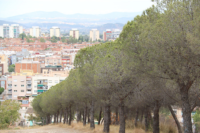 Sant Boi de Llobregat es va adherir l'any 2008 al Pacte d'alcaldes impulsat per la Comissió Europea