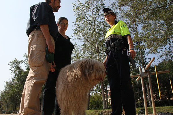 SUCCESSOS: Multa de 826 euros al propietari d'un gos perillós a Olesa per no tenir assegurança a Olesa de Montserrat