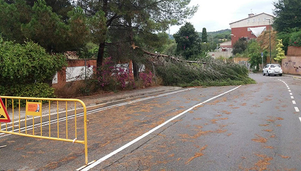 SOCIETAT: L'Ajuntament de Sant Just agraeix la col·laboració veïnal per reparar els danys de la pluja de dissabte 