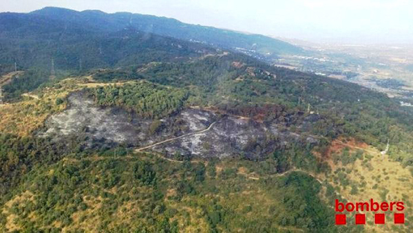 MEDI AMBIENT: Es reforestarà les més de cinc hectàrees cremades a l’incendi d’El Congost de Martorell de l’any 2017
