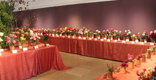 SOCIETAT: El Palau Falguera de Sant Feliu acull una nova edició de Roses de Tardor