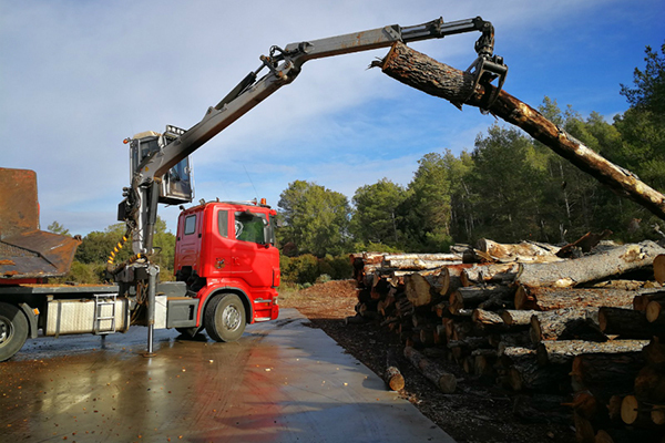 MEDI AMBIENT: Comença l'estellat de troncs per a la biomassa de les calderes de Begues