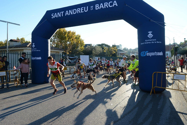 ESPORTS: El Canicross de Sant Andreu de la Barca arriba diumenge a la quarta edició
