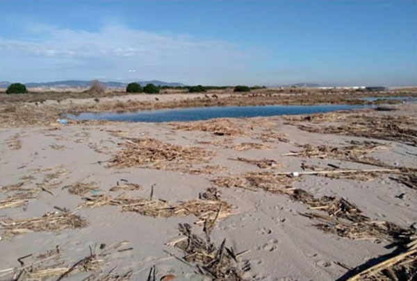 MEDI AMBIENT: El Consorci del Delta fa una crida ciutadana per netejar les platges el 16 de febrer 