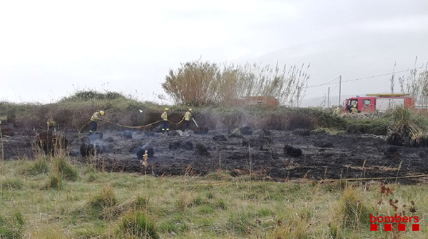 SUCCESSOS: Incendi al camí dels Llanassos de Viladecans 