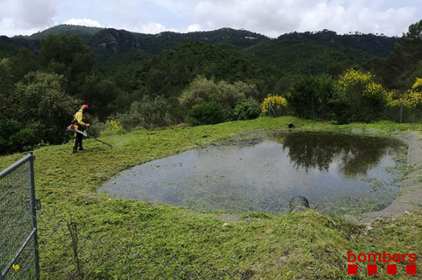  Tasques de neteja forestal a Sant Climent de Llobregat