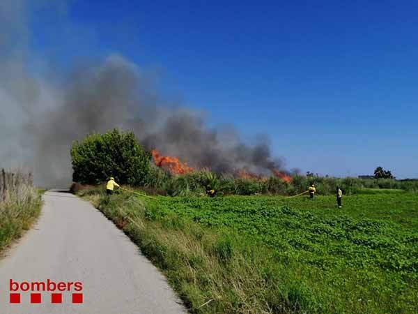 SUCCESSOS: Un incendi crema 3.000 metres quadrats de vegetació agrícola al camí de les Parets de la Murtra de Gavà