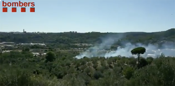 SUCCESSOS: Un incendi a Olesa de Montserrat crema 250 metres quadrats en una zona forestal