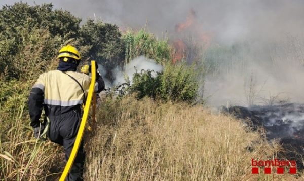 SUCCESSOS: Un incendi a prop de l’aeroport crema cinc hectàrees de vegetació agrícola