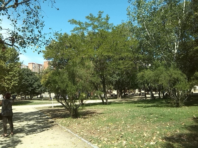 SUCCESSOS: Presumpta violació al parc de Can Mercader de Cornellà de Llobregat