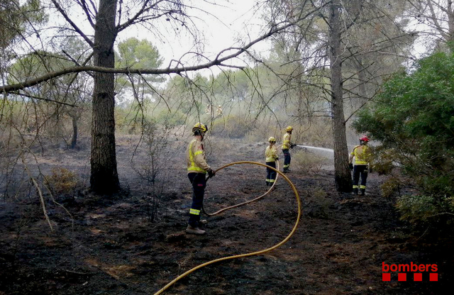 SUCCESSOS: Cremen 3.000 metres quadrats de matoll i sotabosc a Sant Esteve Sesrovires 