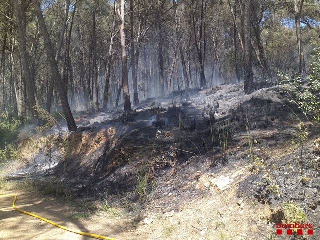 SUCCESSOS: Un incendi a Gavà crema un total de 6.000 metres quadrats de vegetació forestal 