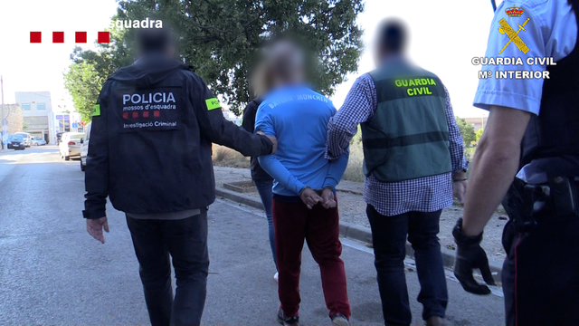 Els catorze detinguts, onze homes i tres dones, són de nacionalitat espanyola, tenen edats compreses entre els 20 i 43 anys d'edat