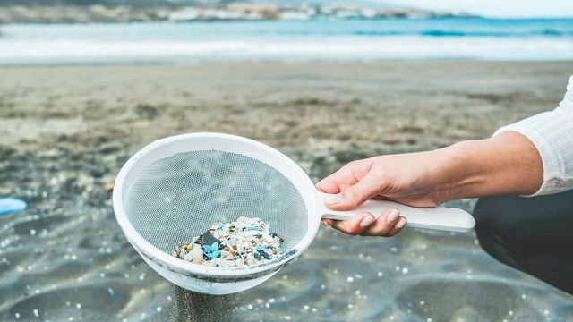 La contaminació al Mediterrani pot ser més greu a l’estimada