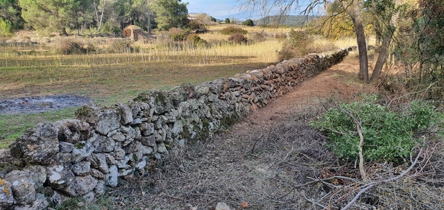  Begues rehabilita els marges i murs de pedra seca