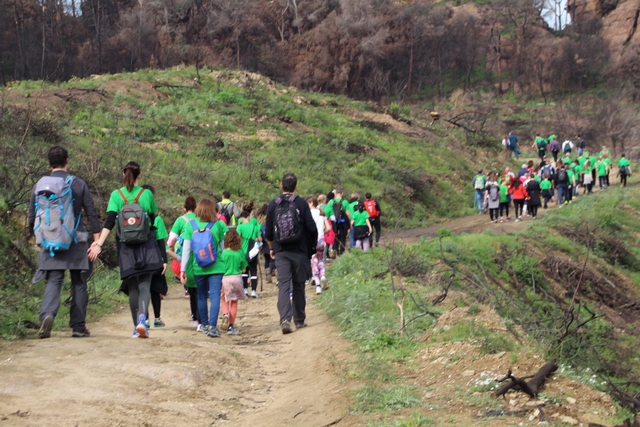 Prop de 2.000 persones participen en la Marxa de Primavera de Martorell