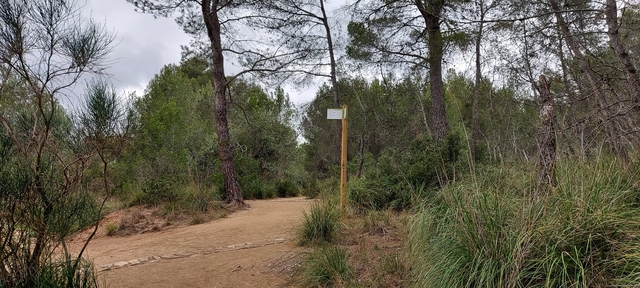 SOCIETAT: L’Ajuntament de Gavà promou la descoberta dels paisatges de Gavà a peu o en bici 