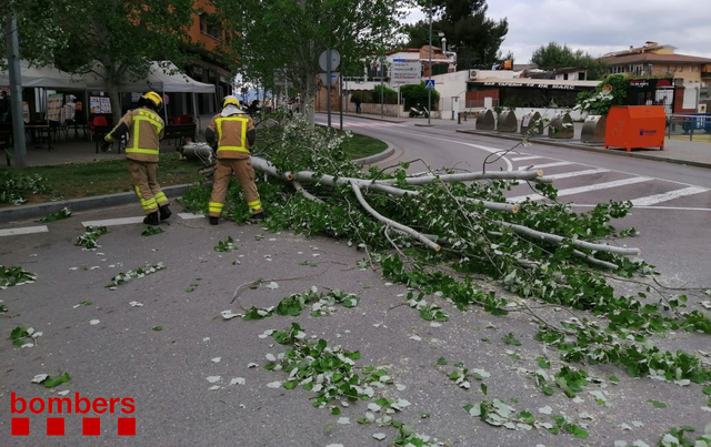 SUCCESSOS: El fort vent afecta diversos municipis del Baix Llobregat