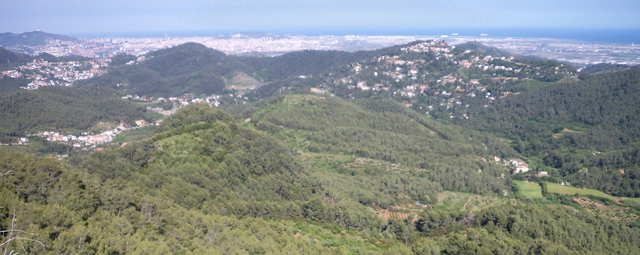 Solament 78 dels 311 municipis de la demarcació de Barcelona tenen un paisatge en mosaic que combina cultius, pastures i bosc