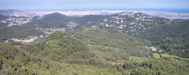 Preocupant pèrdua progressiva del mosaic agroforestal en el Baix Llobregat