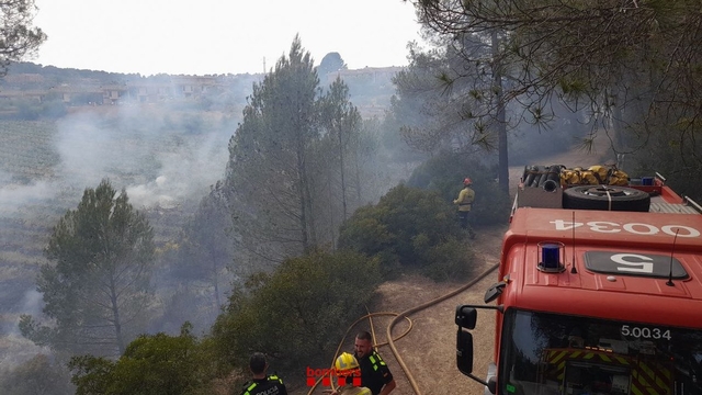 SUCCESSOS: Un incendi crema 5.000 m2 de vegetació a Sant Esteve Sesrovires 