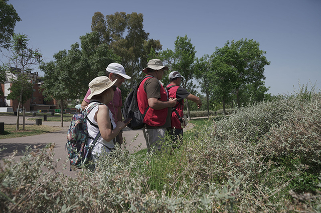 Els ‘exploradors’ censen gairebé 2.000 organismes als parcs i platges 