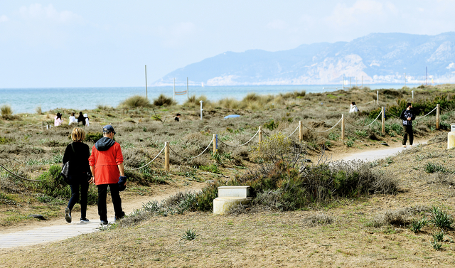 La recuperació i la gestió de les dunes de les platges de l'àrea metropolitana de Barcelona ha aconseguit el prestigiós guardó New European Bauhaus Prize