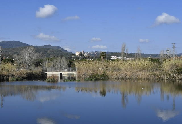 El Govern vol protegir l’Olla del Rei de Castelldefels com a ZEPA