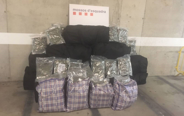 Presó per a tres homes per tràfic de marihuana i falsificació documental