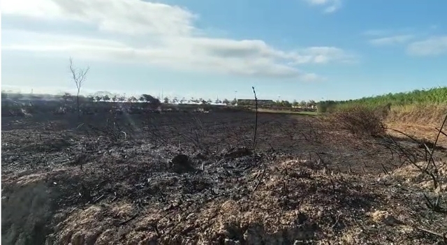 Zona cremada afectada