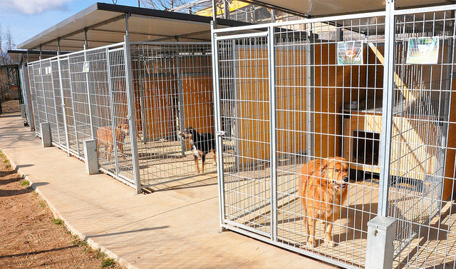 L’Ajuntament del Prat rebutja una protectora d’animals