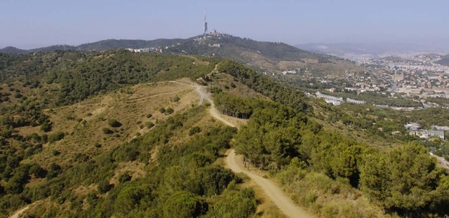 L'AMB forma part del Consorci del Parc Natural de la Serra de Collserola i ha portat a terme la redacció del PEPNat