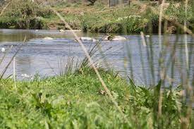 La comarca del Baix Llobregat, en prealerta per la sequera