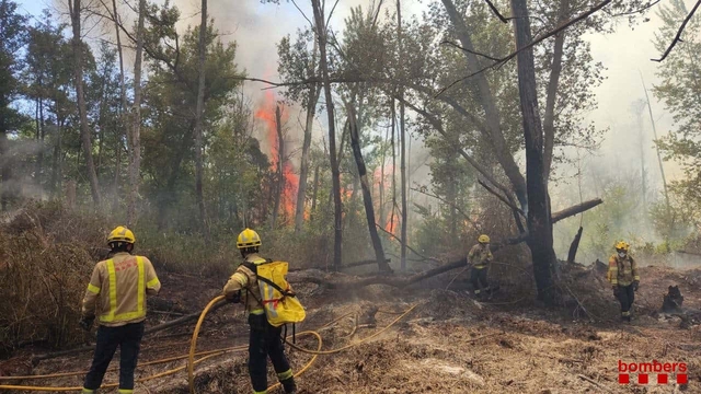  SUCCESSOS: Un incendi crema vegetació forestal i agrícola a Martorell