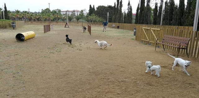 SOCIETAT: Sant Esteve Sesrovires tindrà un parc lúdic per a gossos