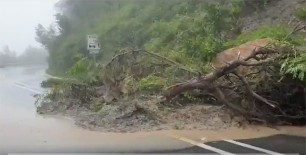 La carretera de Begues té dotze zones perilloses segons un estudi
