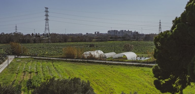 L’AMB obre expedients sancionadors a pagesos del Parc Agrari 