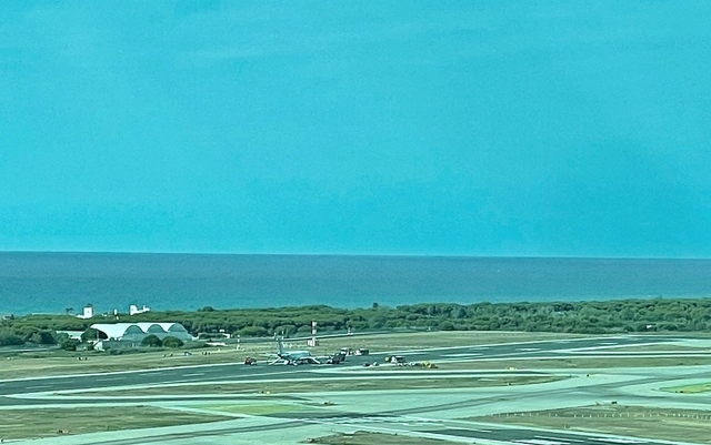 Un avió impacta amb un ocell a l’aeroport del Prat i avorta l’enlairament