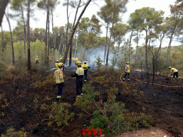 SUCCESSOS: Crema uns 600 metres quadrats de massa forestal en un incendi a Gavà 