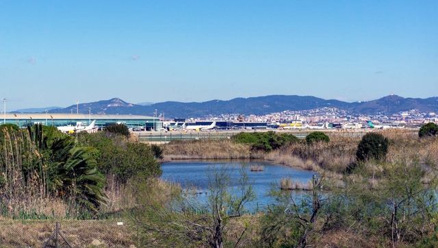 La Ricarda i l'Aeroport Josep Tarradellas Barcelona-El Prat