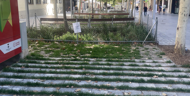 Deixadesa i abandó total de la zona verda de la Rambla Anselm Clavé