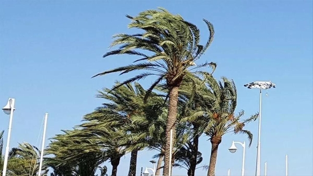 MEDI AMBIENT: Es manté l'alerta per fort vent